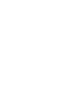 Solar EPC Services text circle